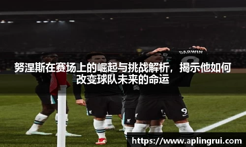 努涅斯在赛场上的崛起与挑战解析，揭示他如何改变球队未来的命运